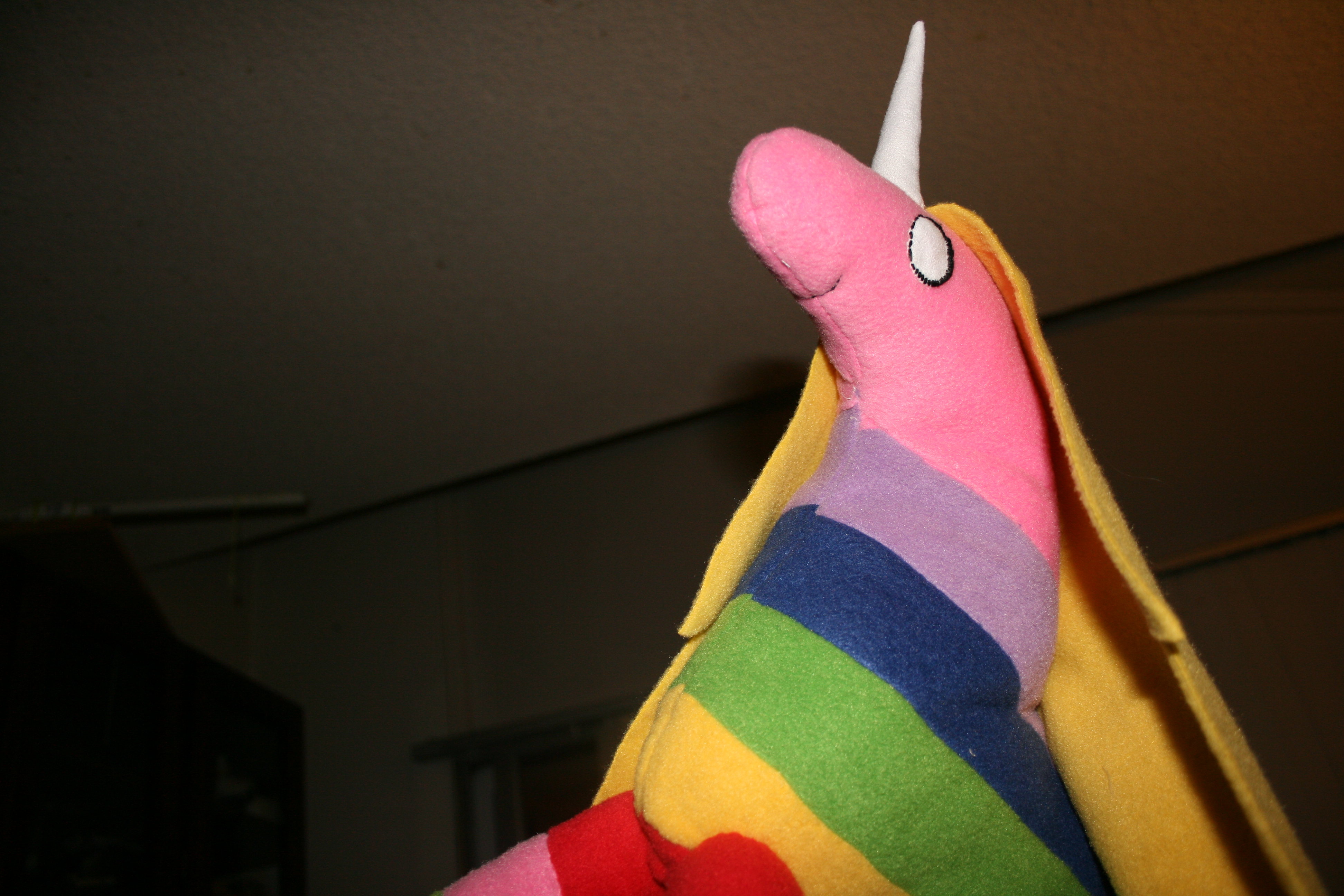 Rainicorn 007.JPG