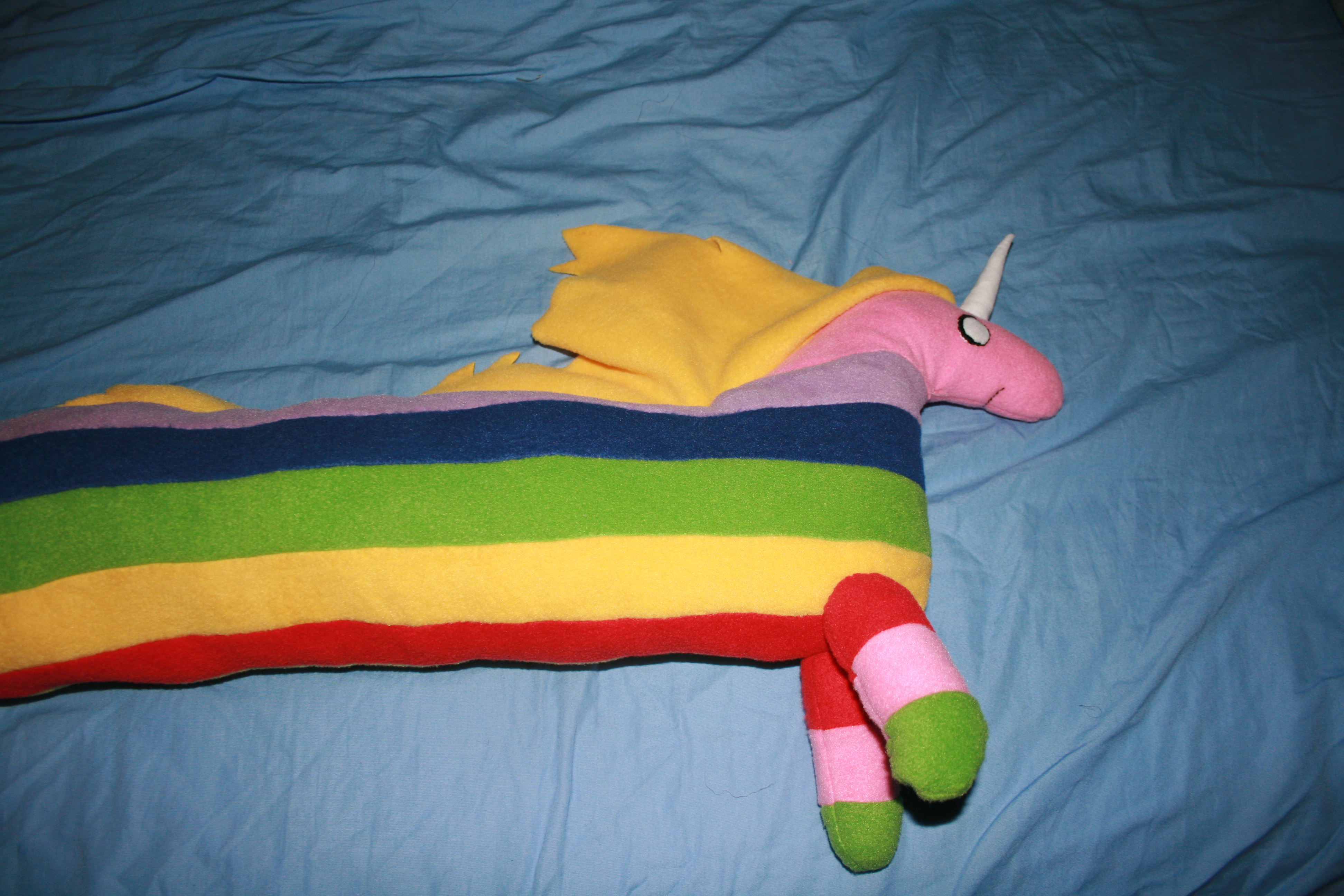 Rainicorn 015.JPG