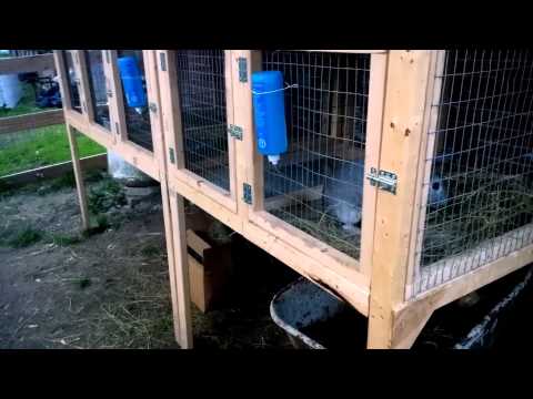 Raising Rabbits, Part 1 - Our First Rabbit Hutch