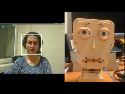 Real time imitation of facial expressions on Robotic Head Fritz