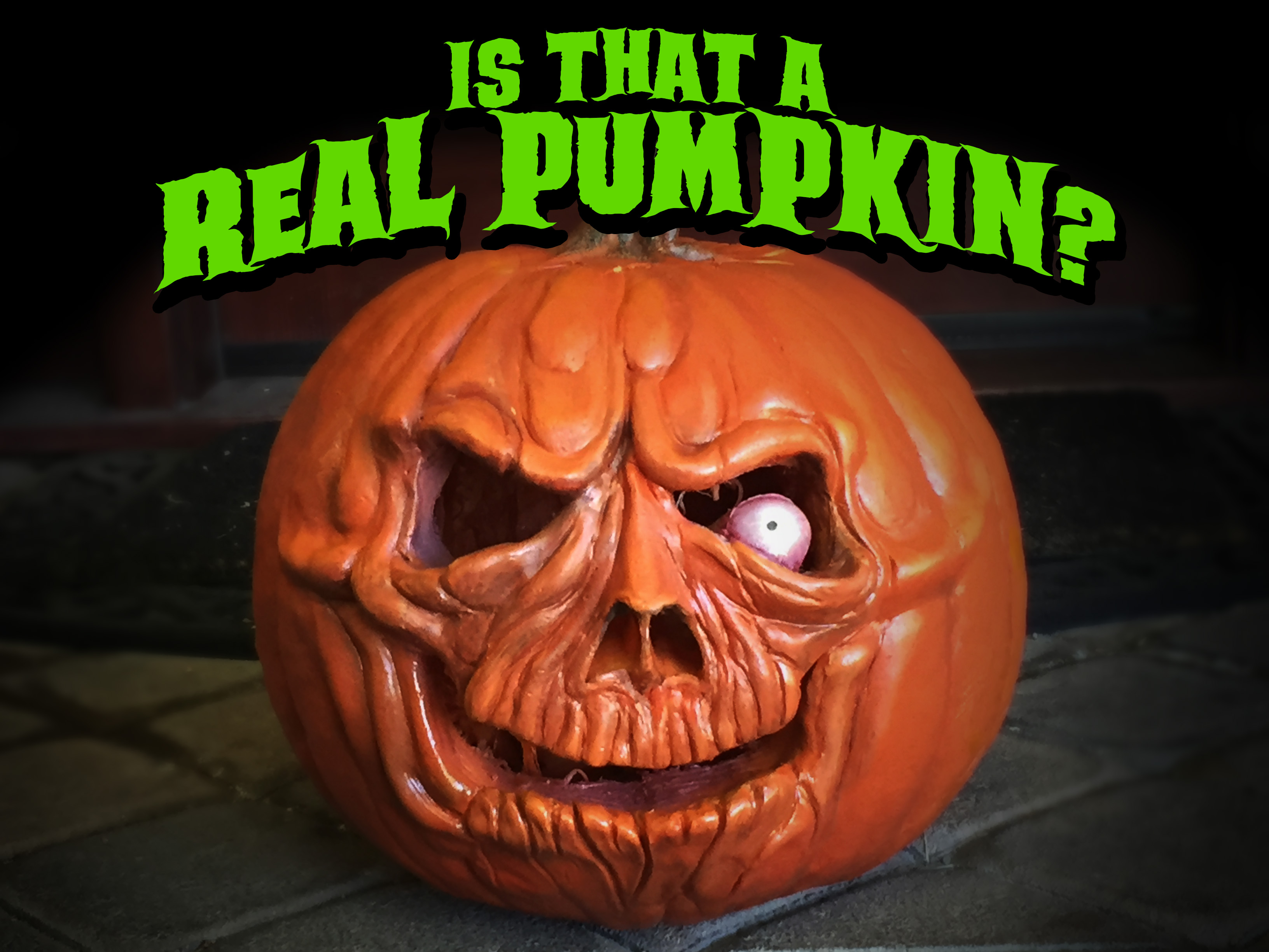 RealPumpkin.jpg