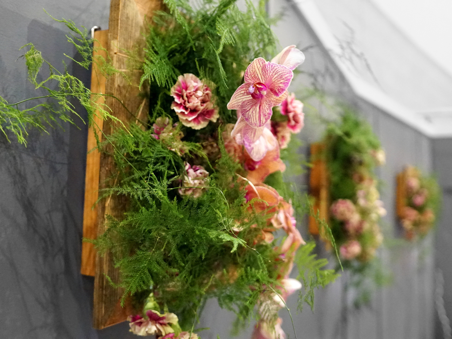 Reclaimed living wall 1.JPG