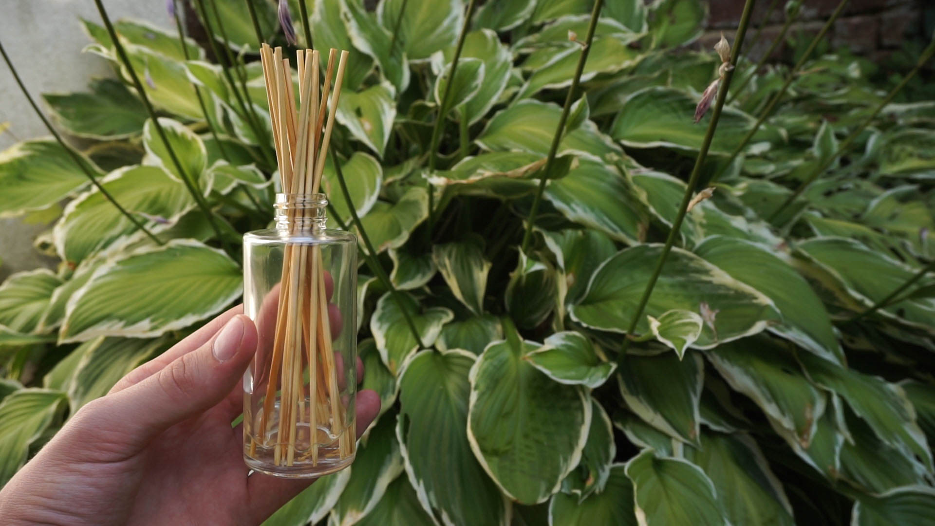 Reed Diffuser-8.jpg