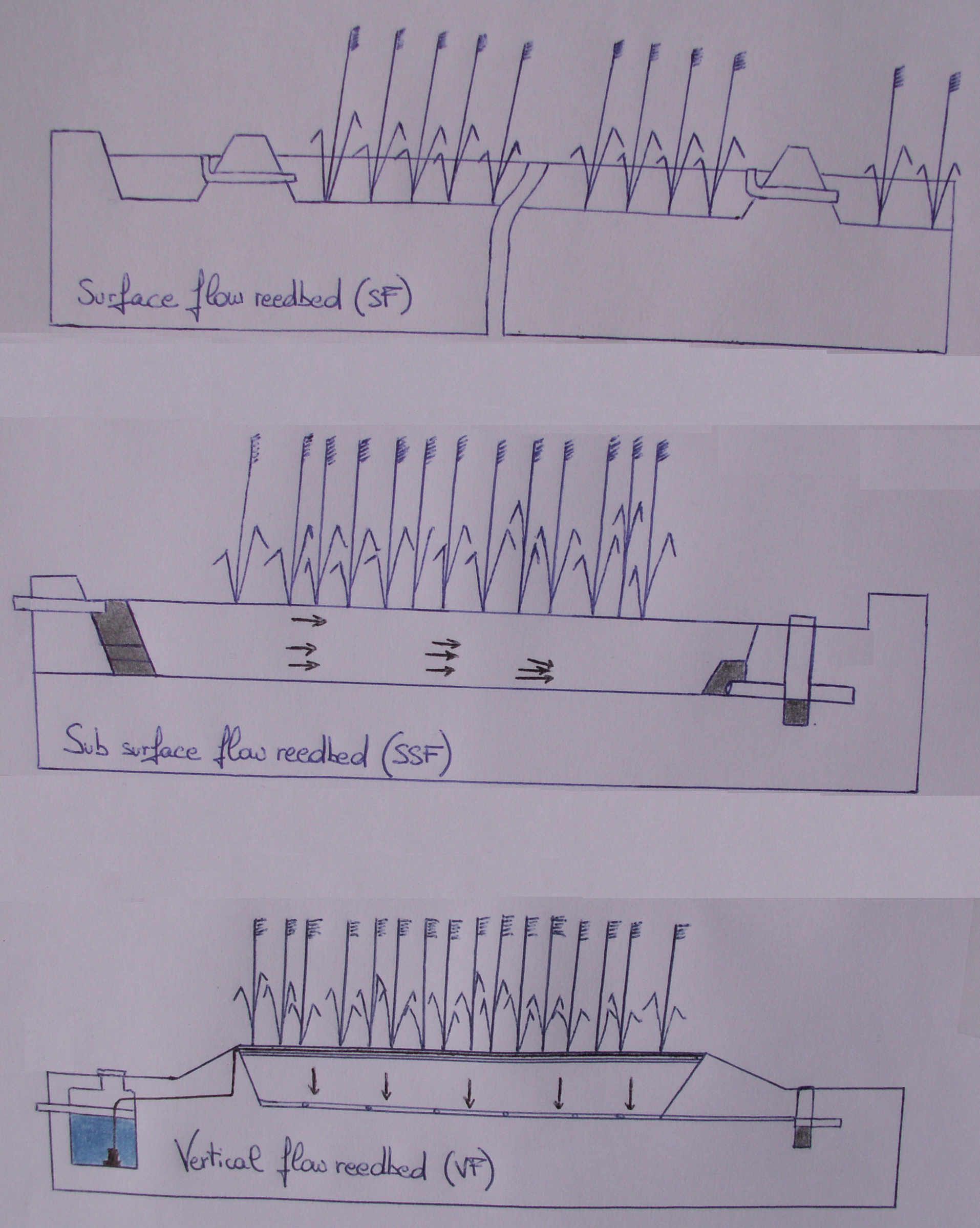 ReedBedSetUps.jpg