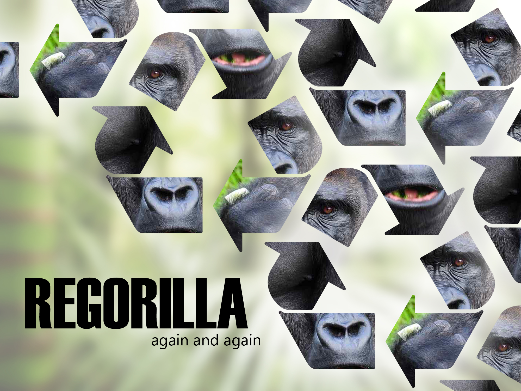 Regorilla.jpg