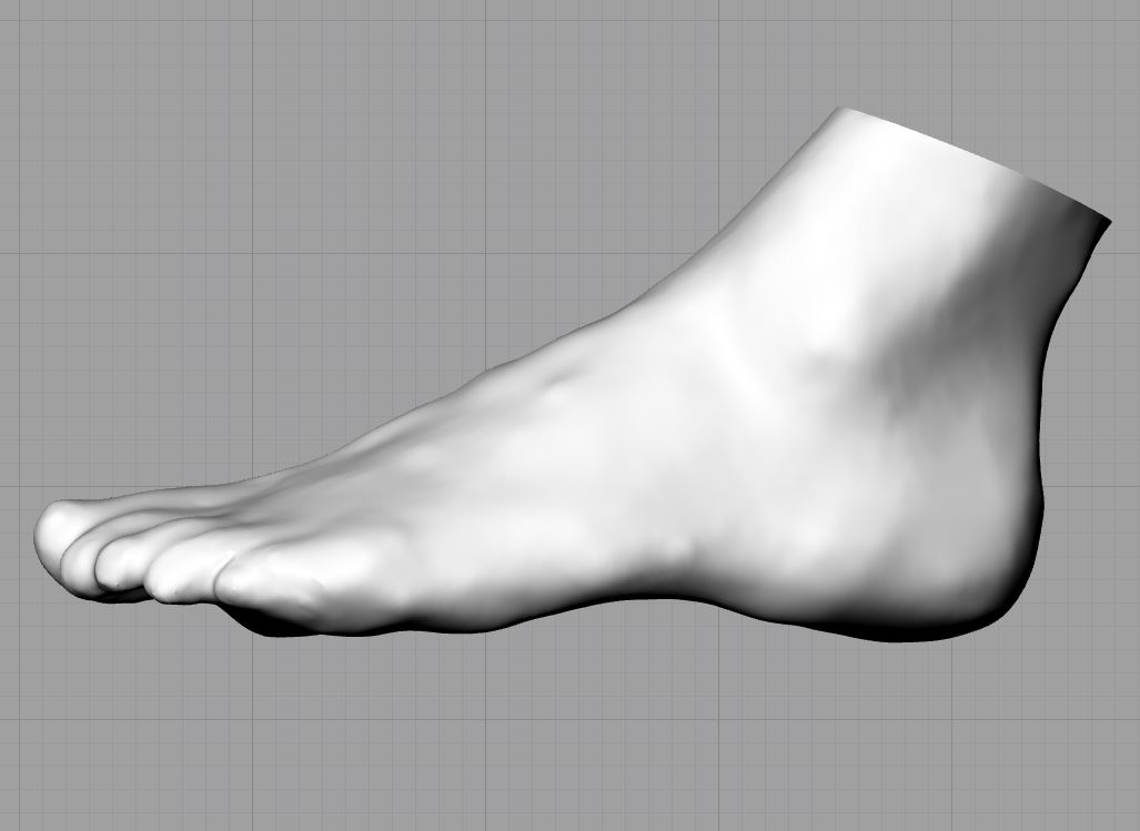 Rhino_Foot_side.JPG