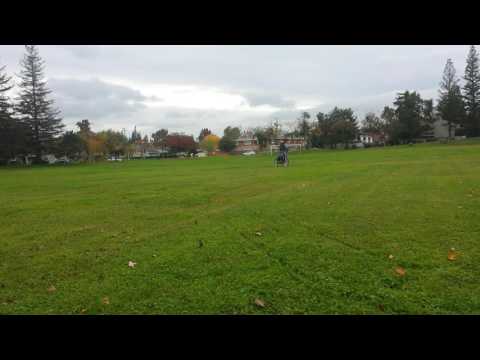 Riding in the grass.