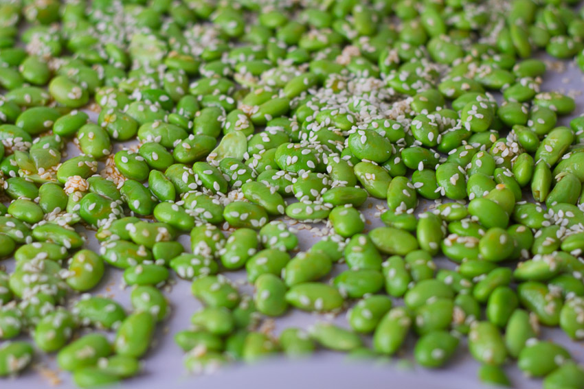 Roasted Spicy Seasme Edamame  (1 of 1).jpg