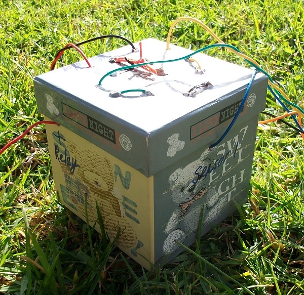 Robotic Bird 01 Control Box.jpg