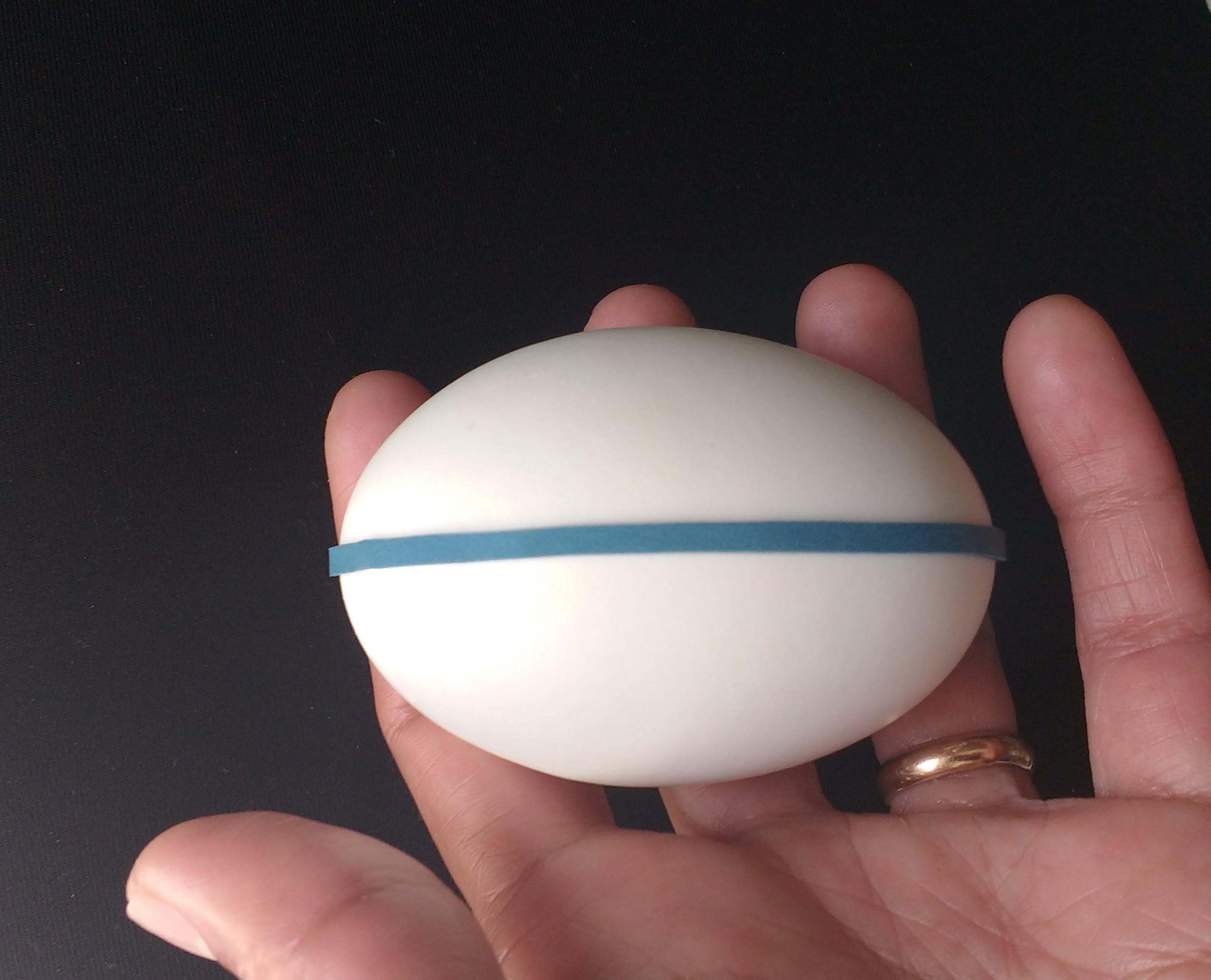 Rubberband Egg2.jpg