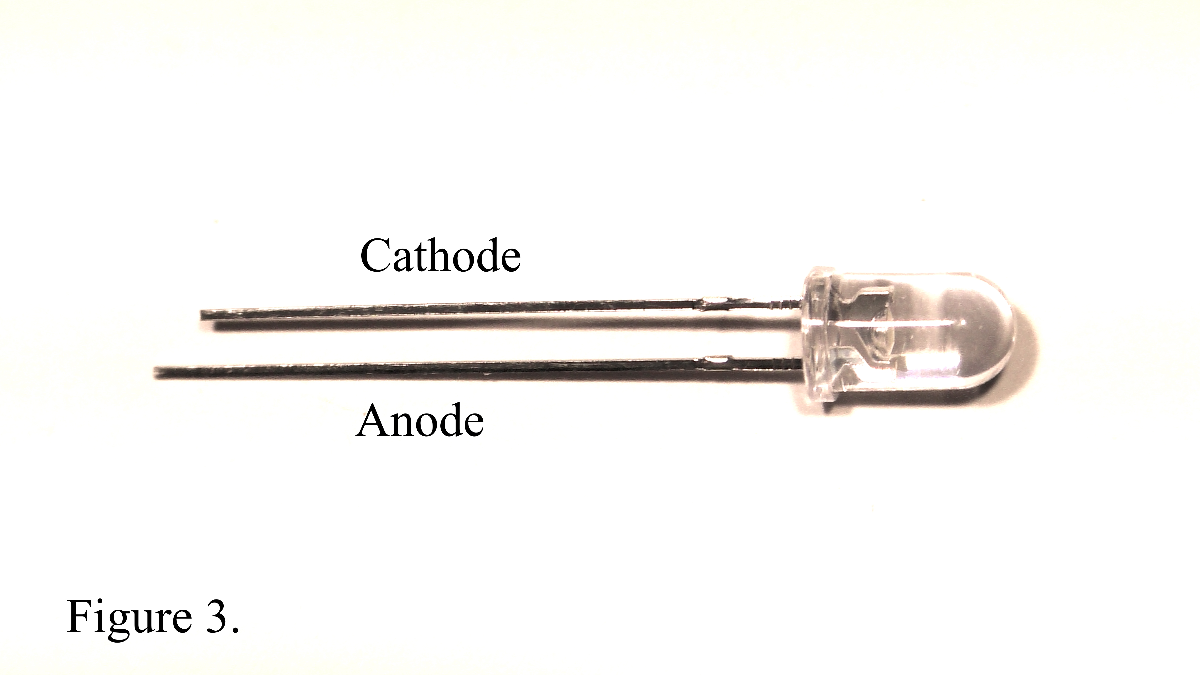 S12 Figure 3.JPG