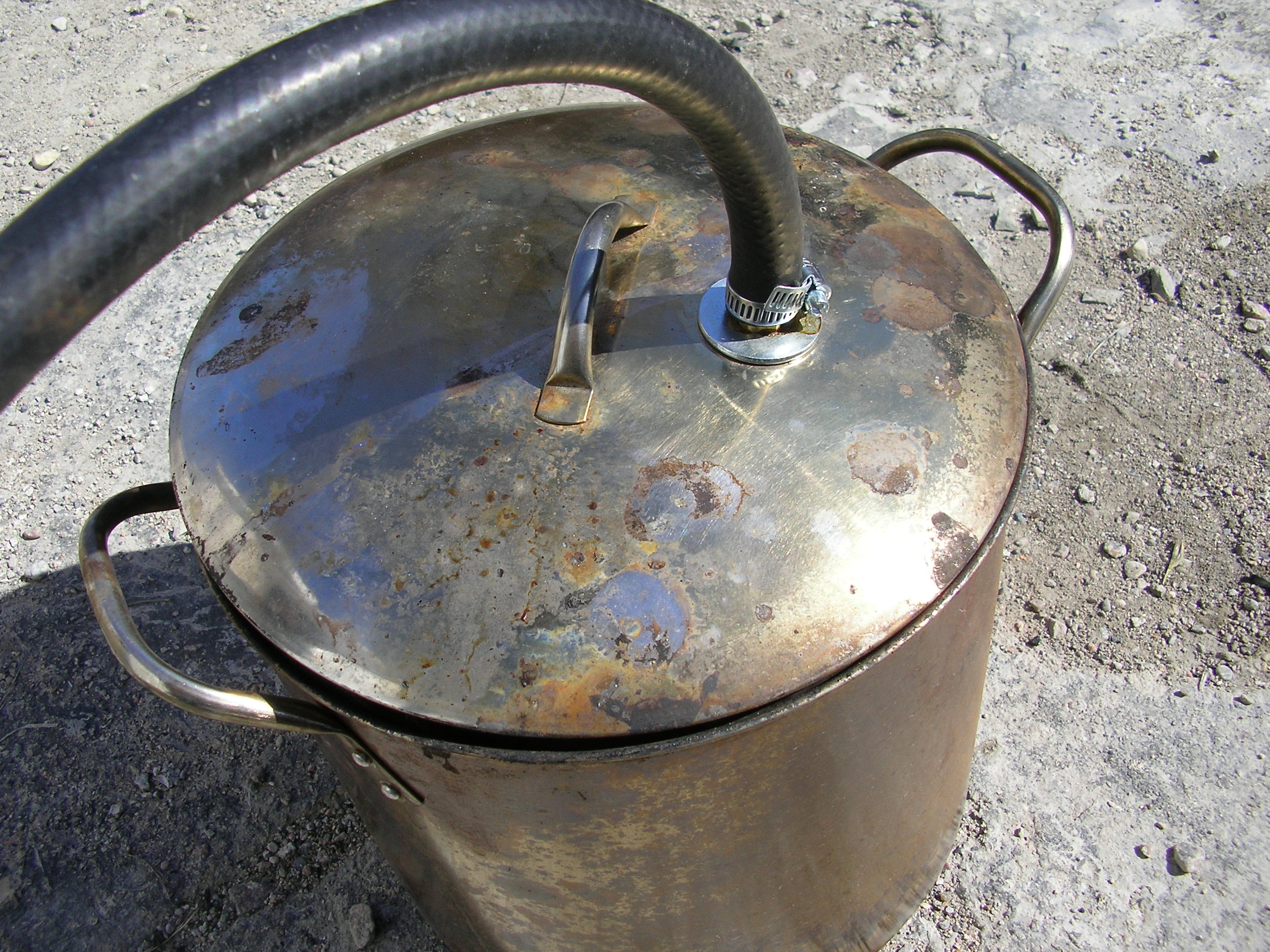 SANY0197.JPG