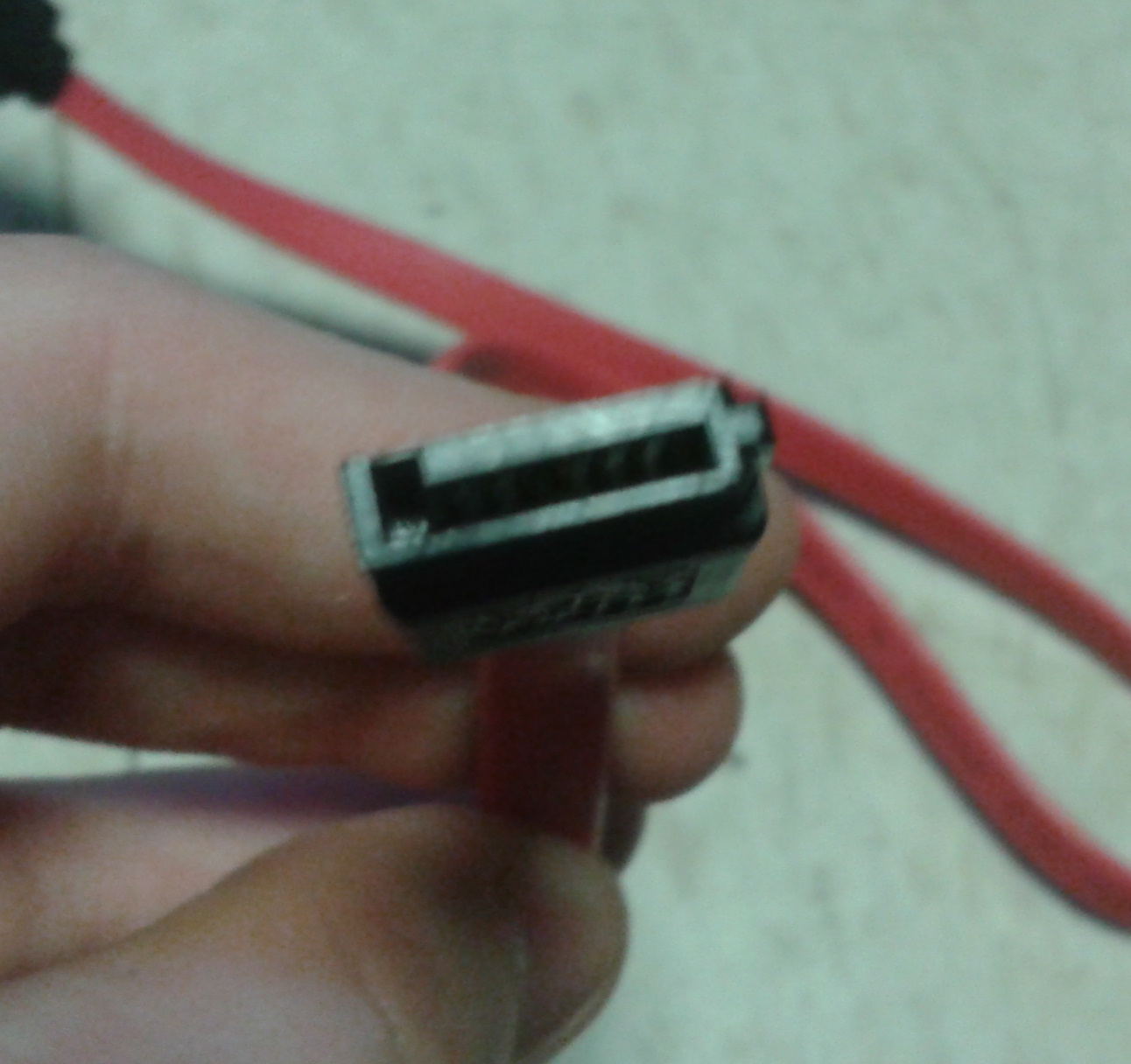 SATA cord.jpg