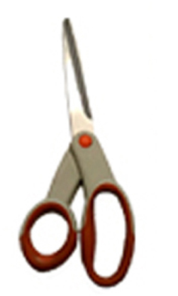 SCISSORS - Copy.jpg