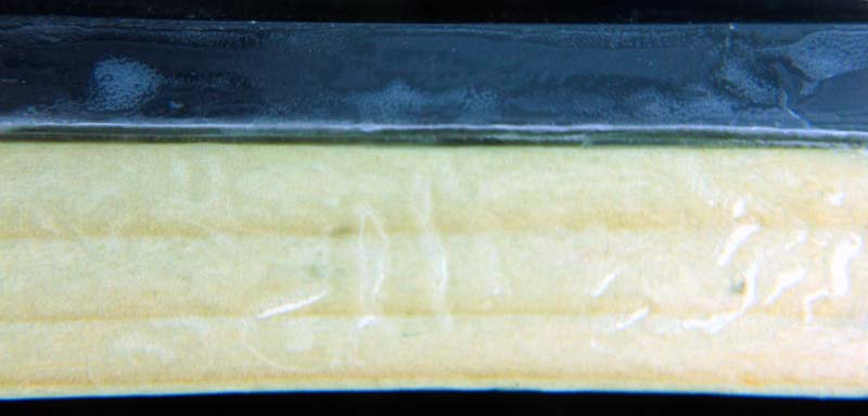 SDC17784.JPG