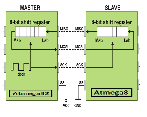 SPI_32_8.jpg