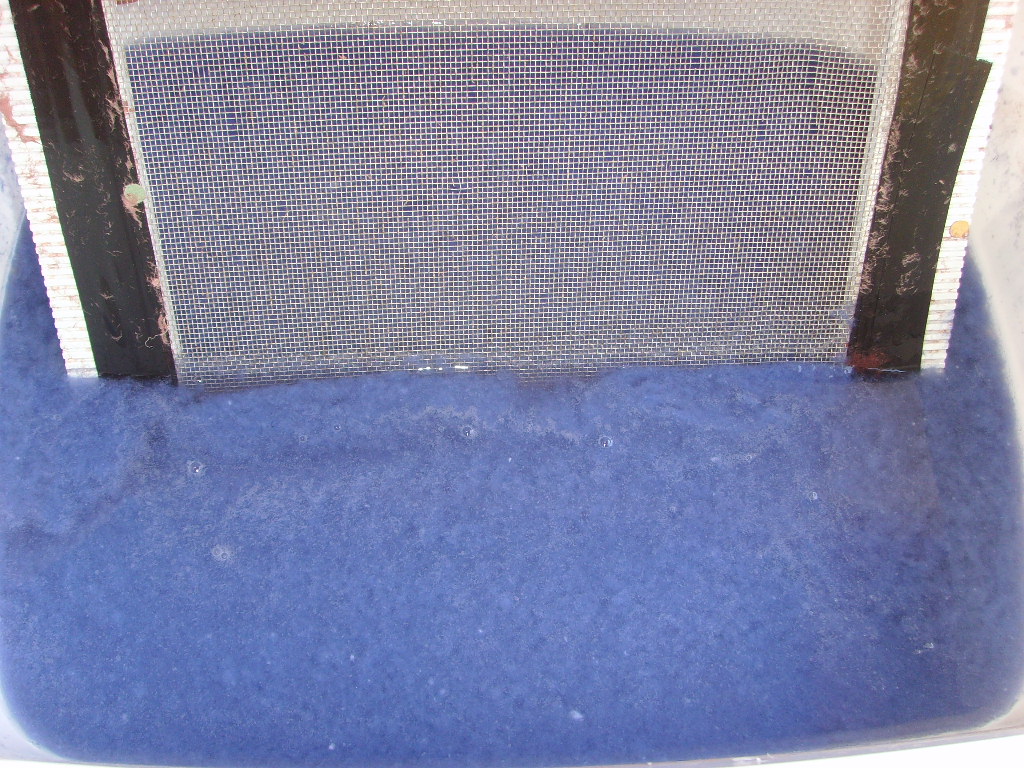 SSL25940.JPG