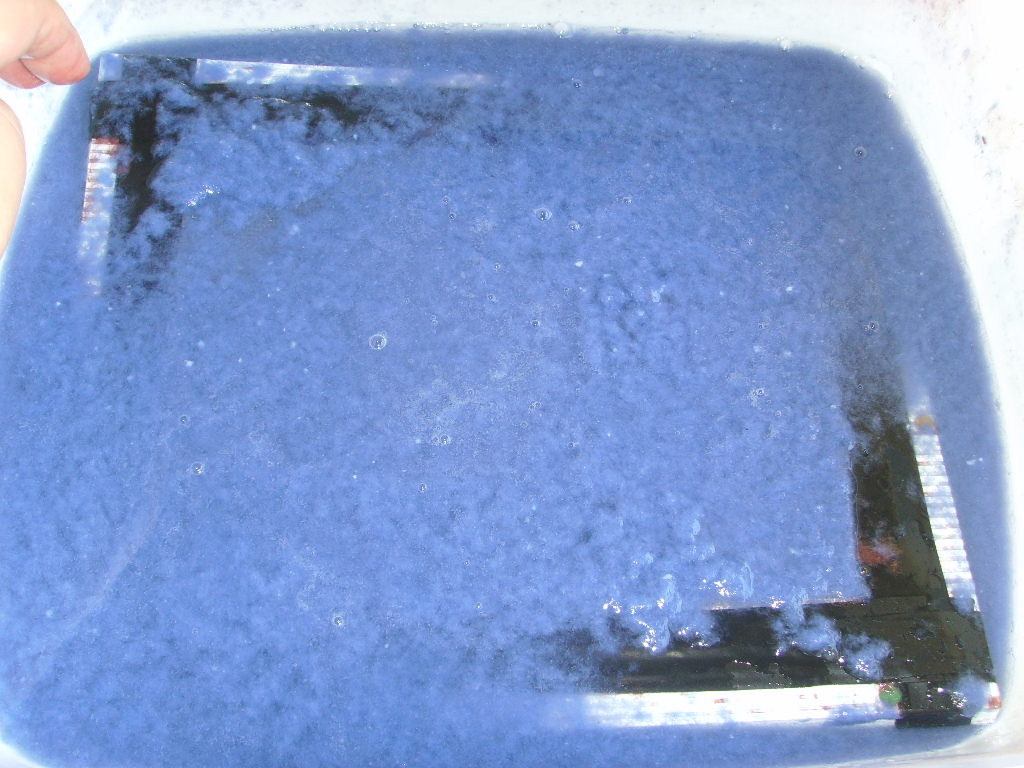 SSL25942.JPG