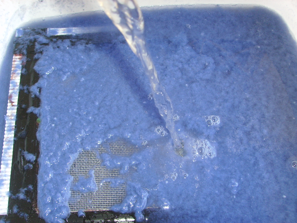 SSL25943.JPG