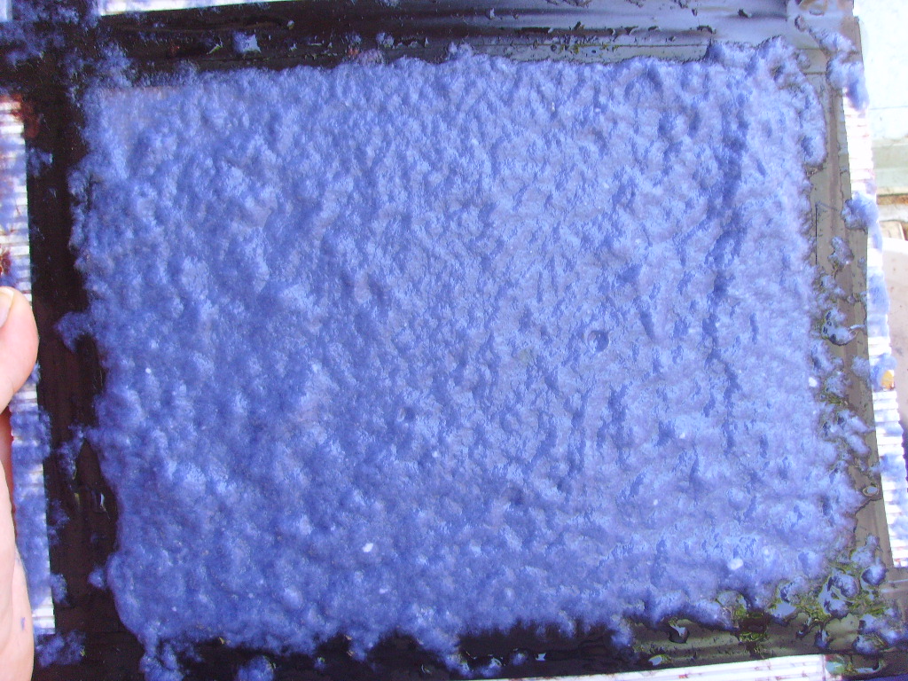 SSL25944.JPG
