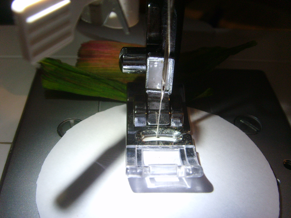 SSL25974.JPG