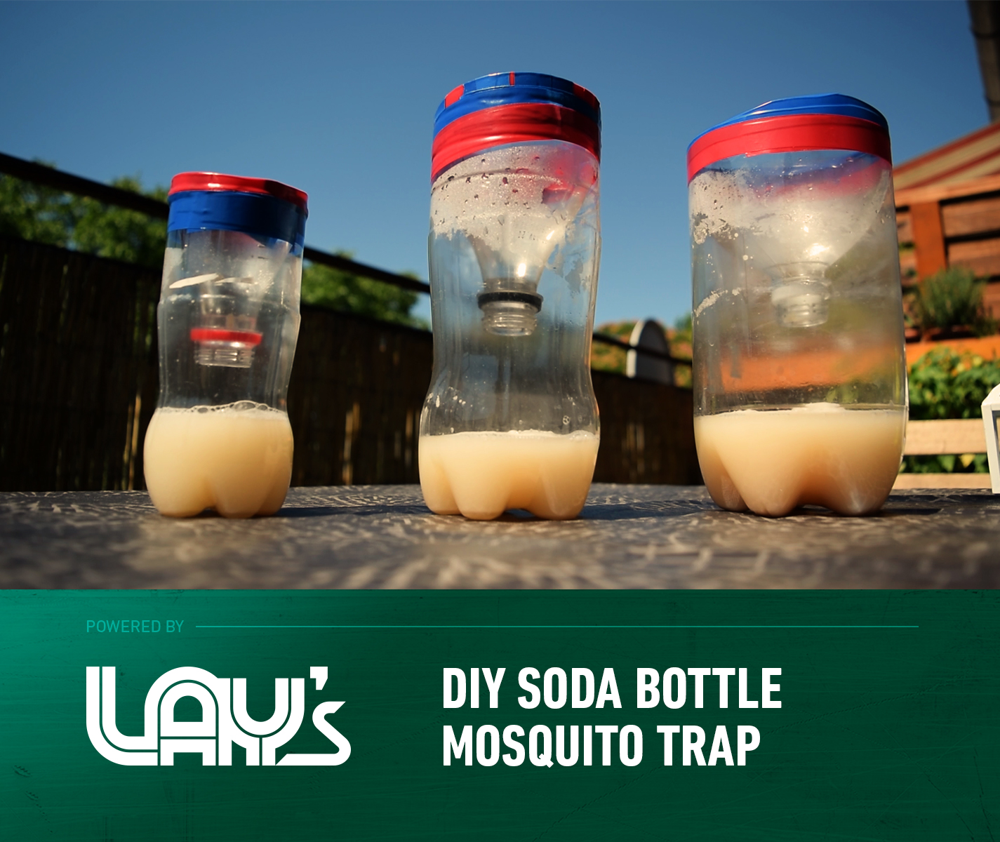 ST-Lays_thumb_P15_DIY Soda Bottle Mosquito Trap_01.jpg