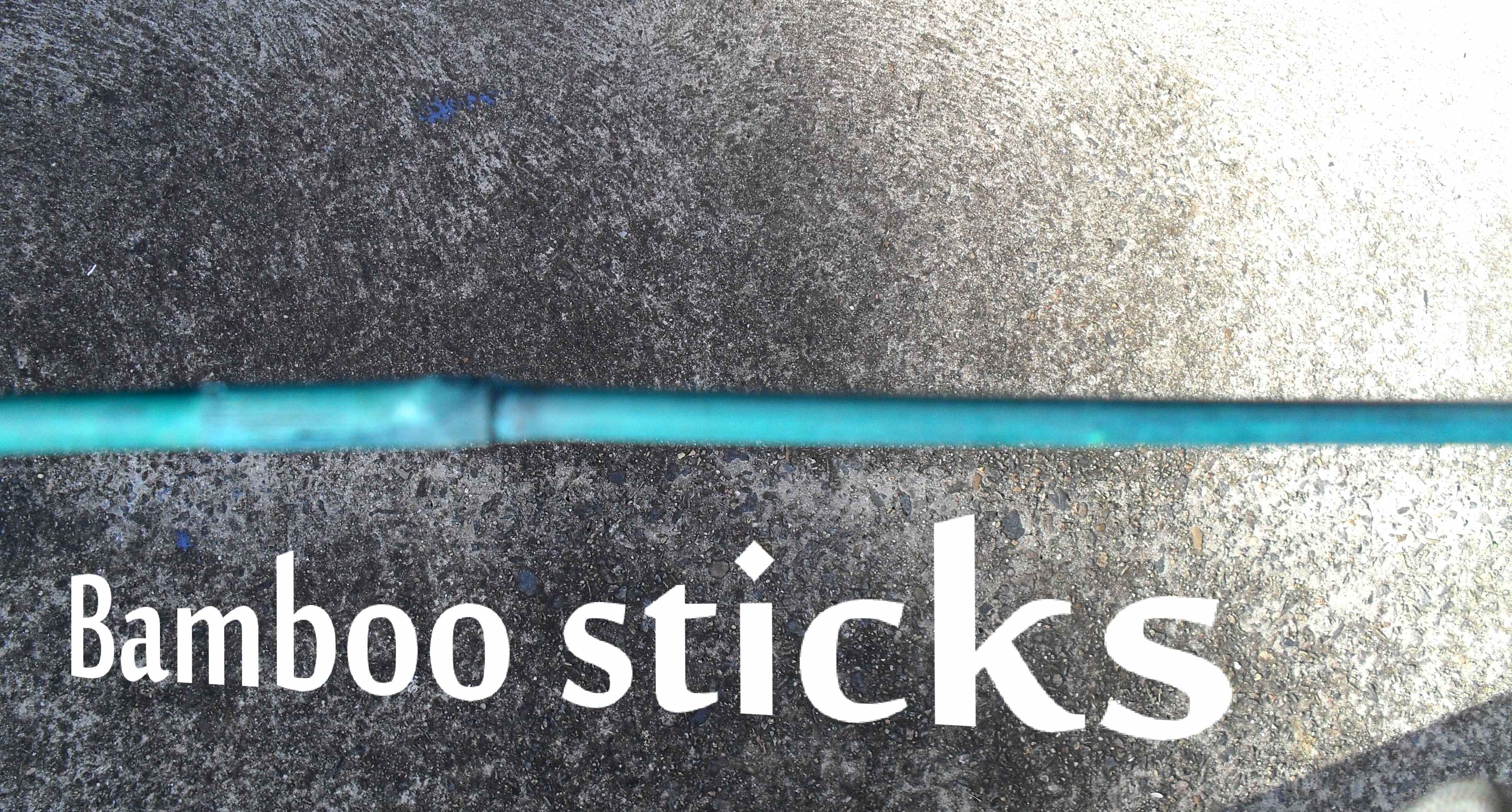 STICKS.jpg