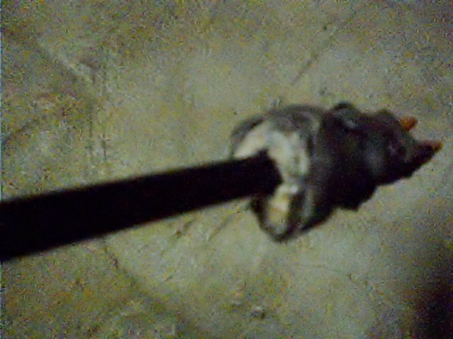 SUNP0088.JPG