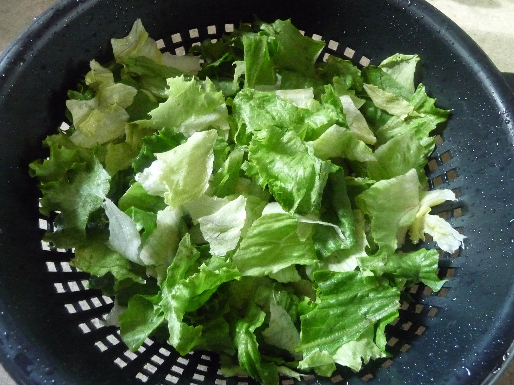 Salad3.jpg