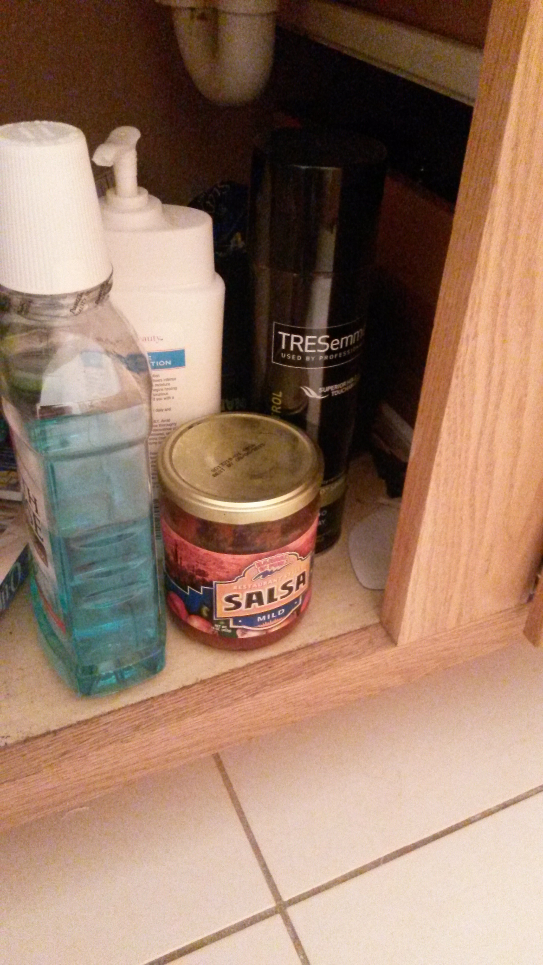 Salsa in hiding.jpg