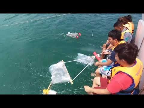 Sampling Plankton and Microplastic using DIY Collection Net