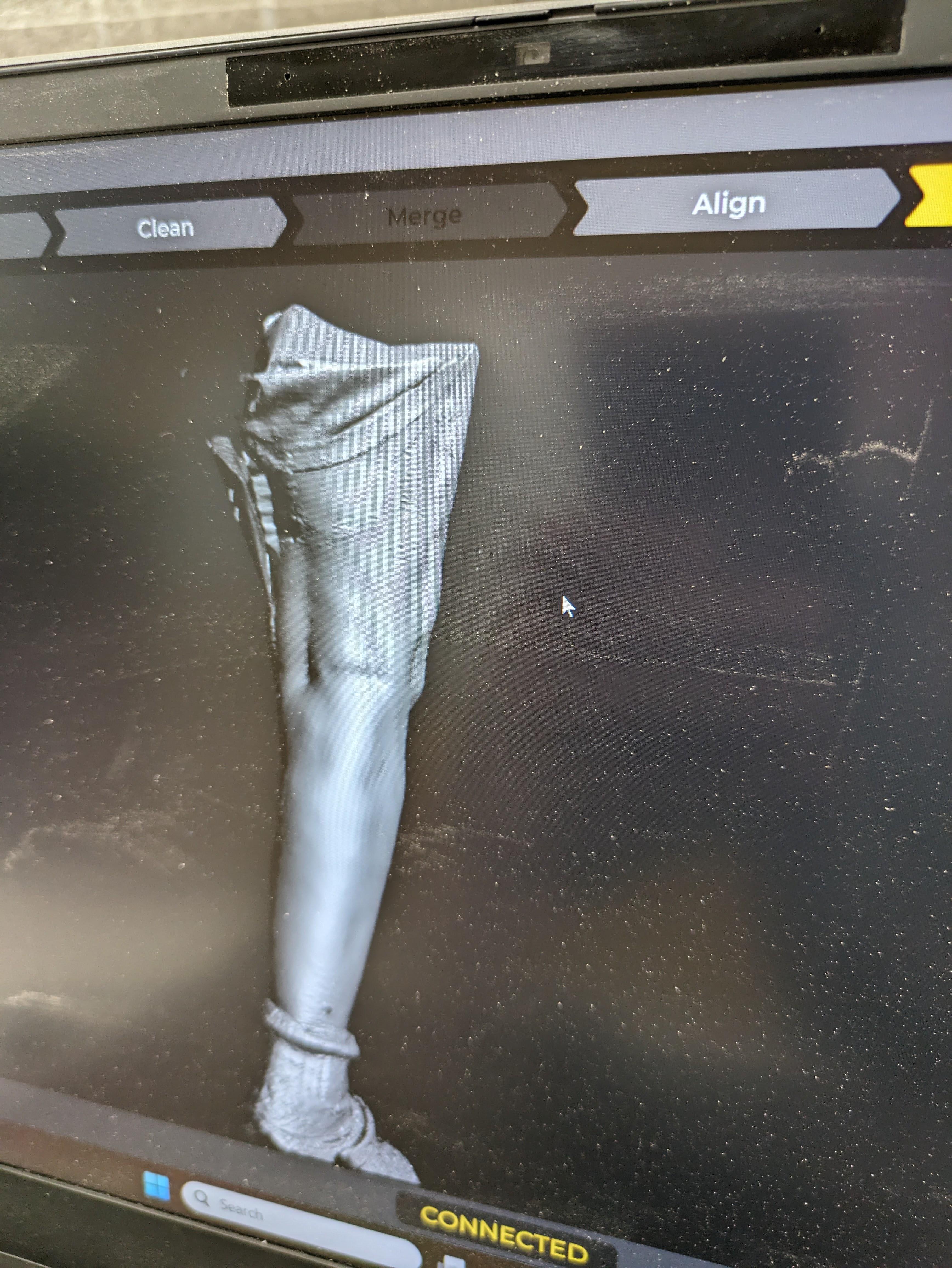 Scan of leg 2.jpg