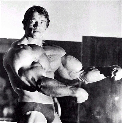Schwarzenegger.jpg