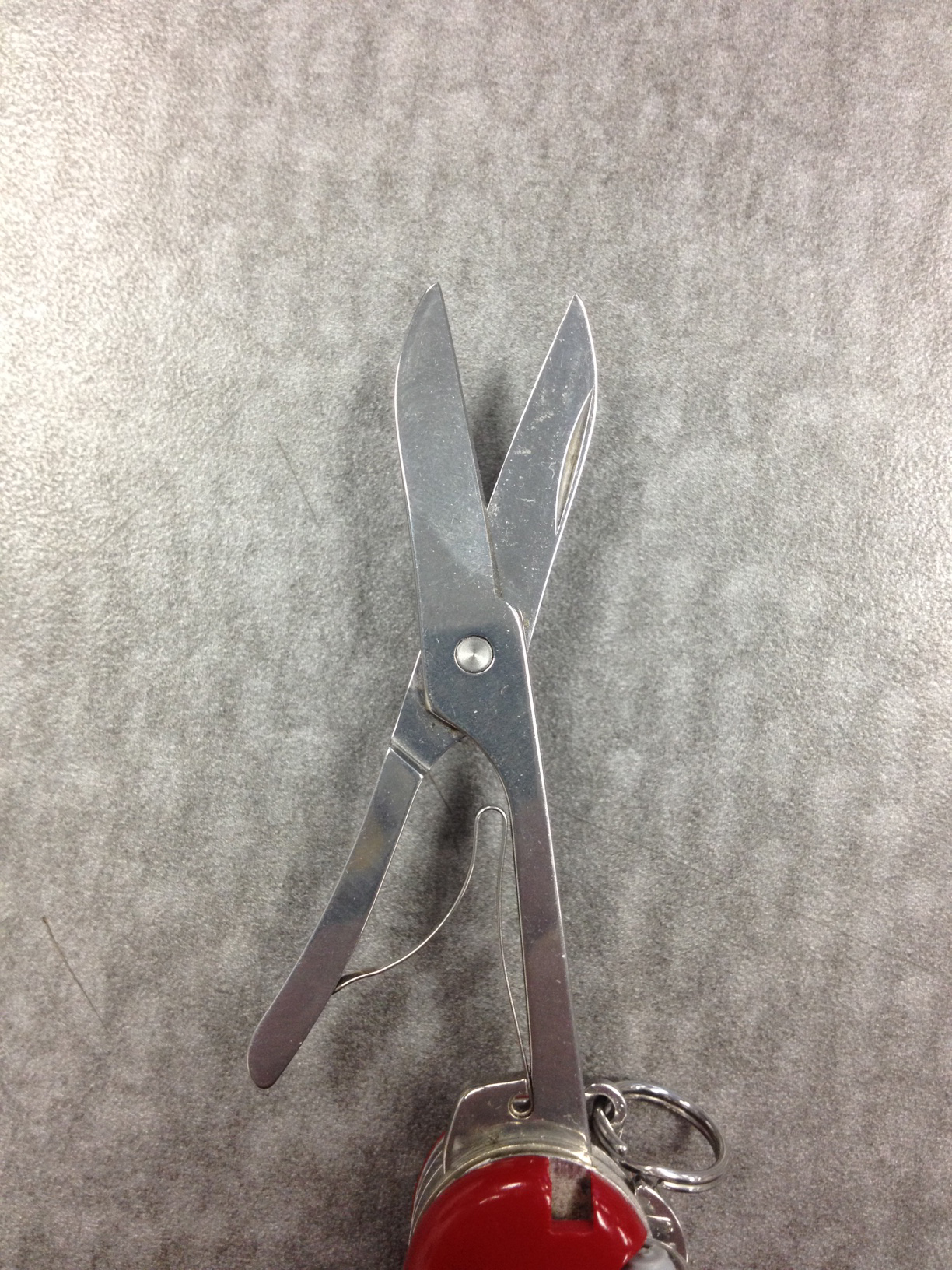 Scissor closeup.JPG