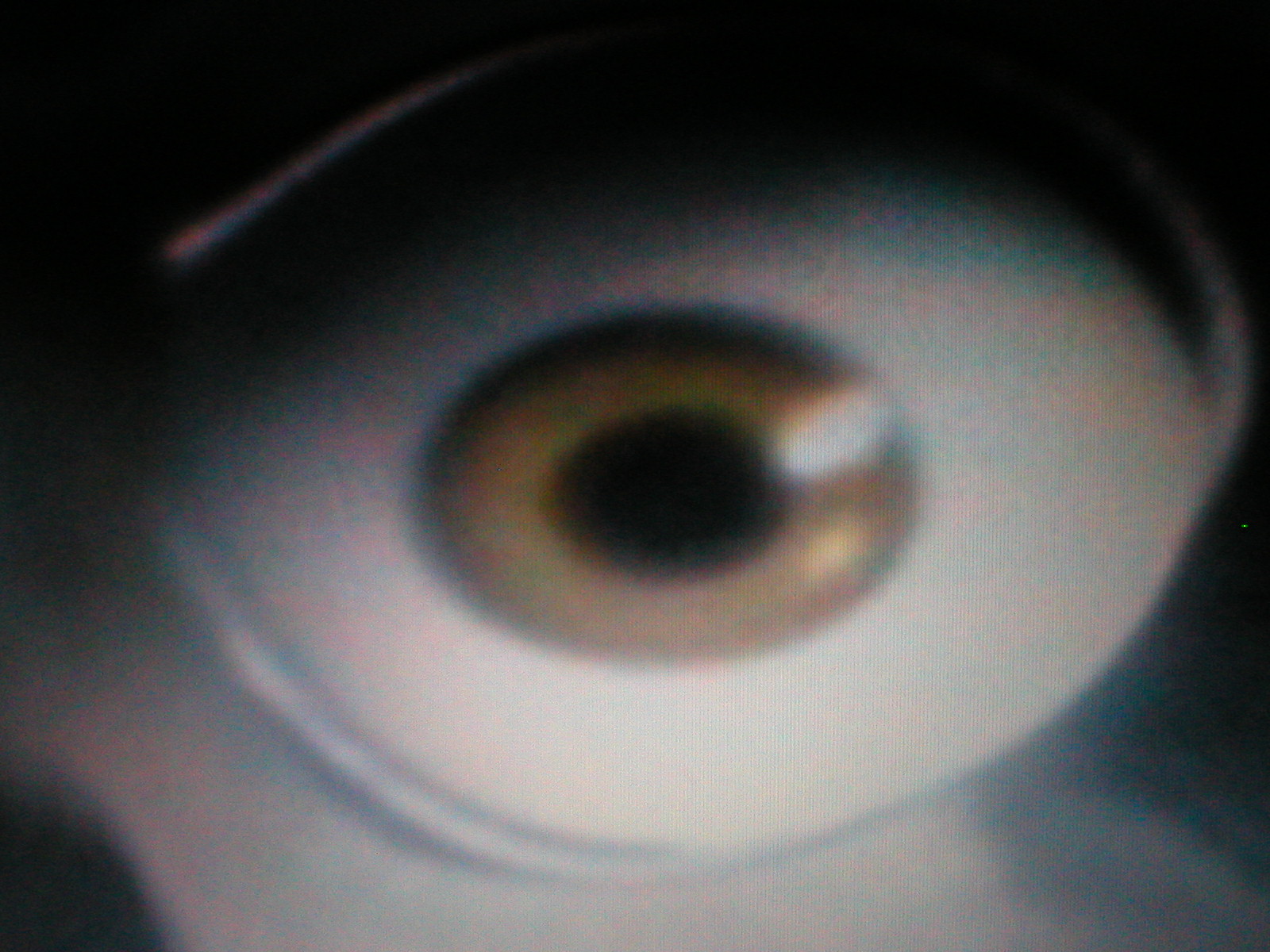 Scrats Eye.JPG