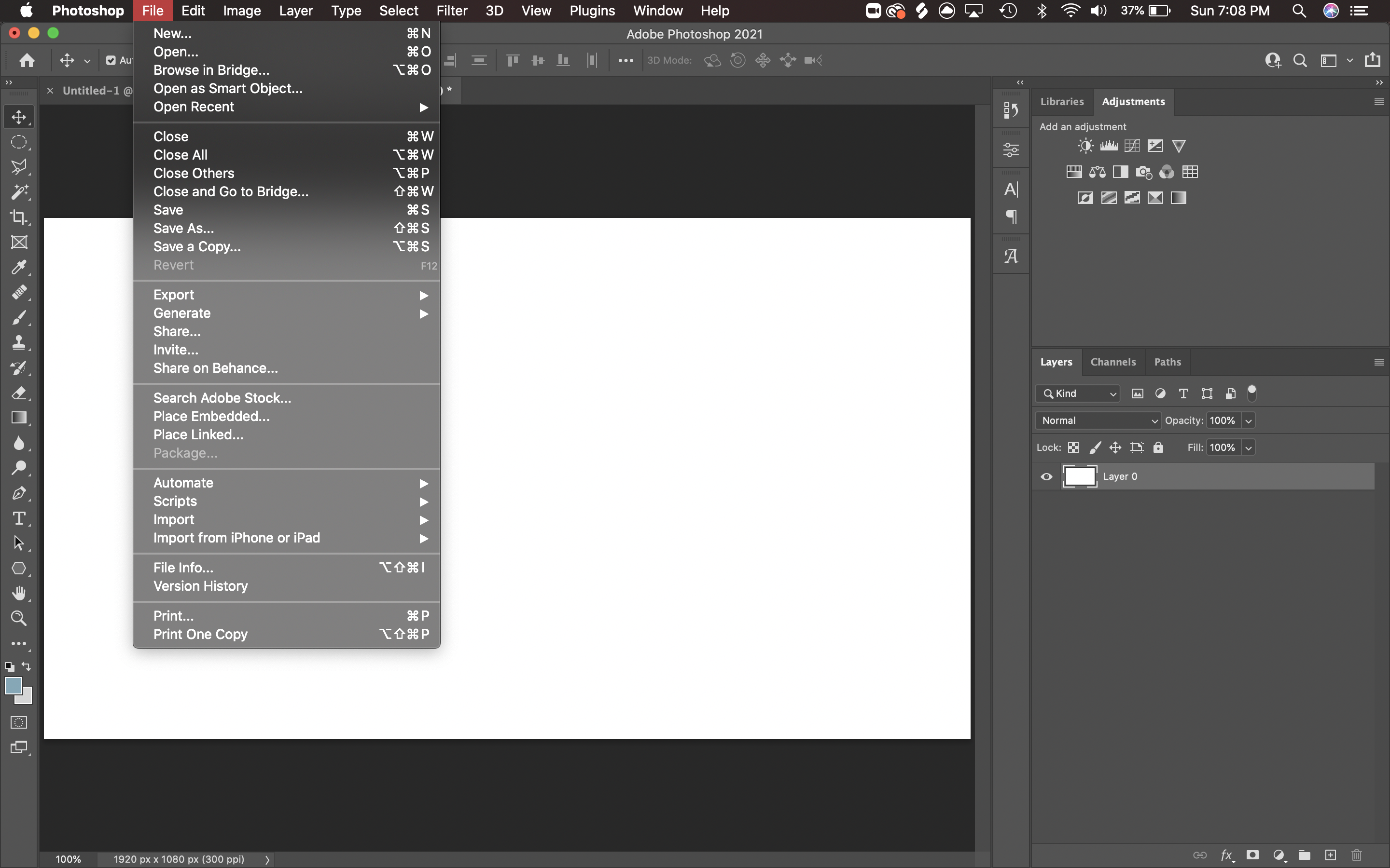 Screen Shot 2021-10-17 at 7.08.41 PM.png