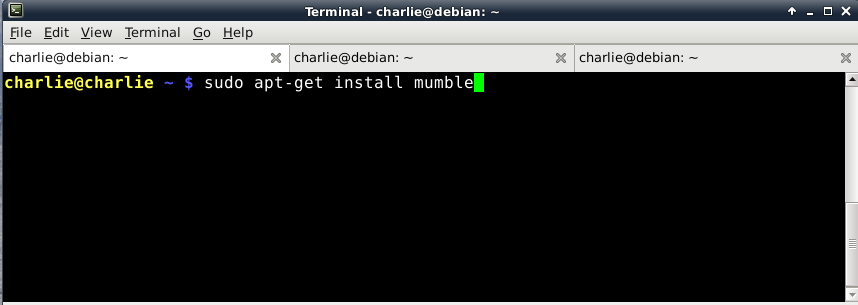 Screenshot - terminalinstallmumble.png