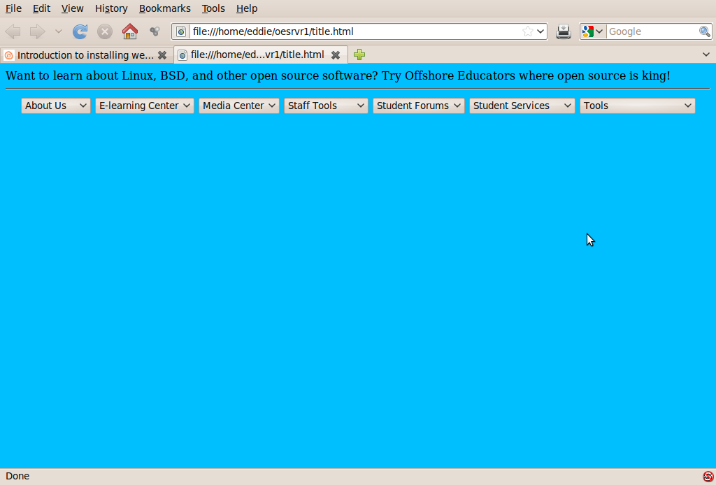 Screenshot-Mozilla Firefox.png