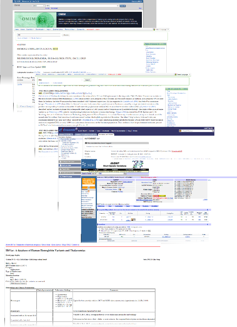 Screenshots.png
