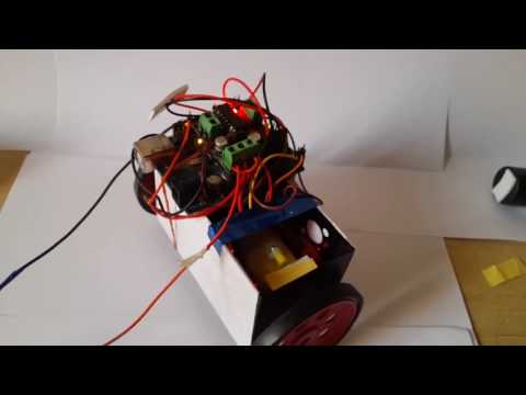 Self Balancing Balance Bot