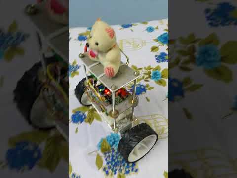 Self Balancing Bot using PID Control System