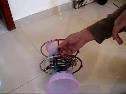 Self Balancing Robot with Rollbars