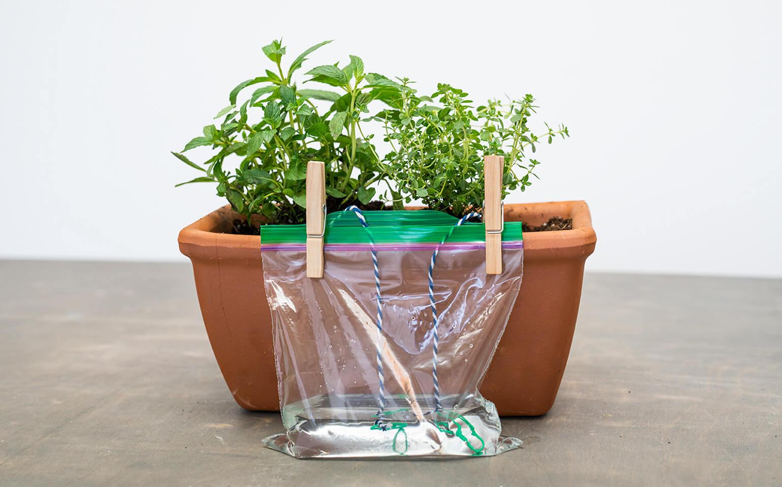 Self-Watering-Planter-Body-5-2x.jpg