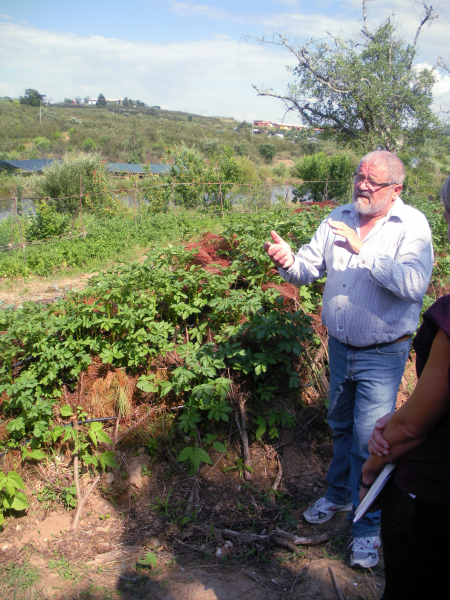 Sepp Holzer explains a potato hugelkultur