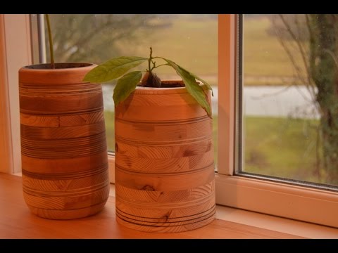 Sewer pipe and scrap wood planters