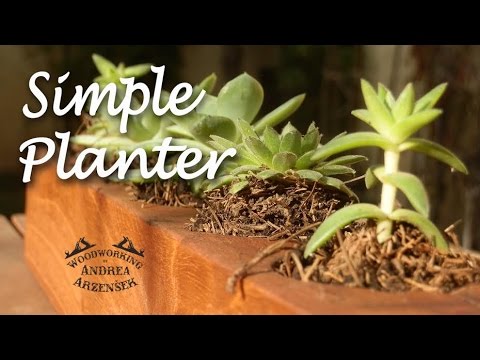 Simple Succulent Hanger- Ep 027