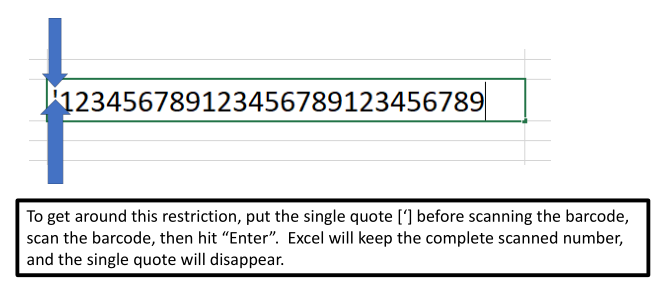 SingleQuoteExcel.png