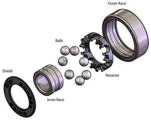 Skateboard-Bearings.jpg