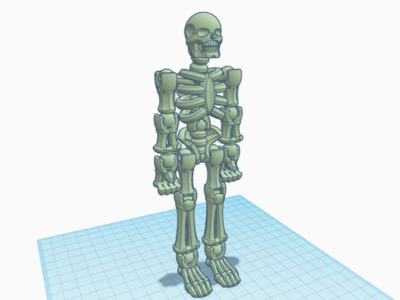 Skeleton-3.jpg