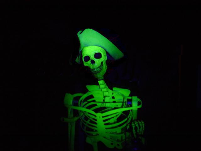 Skeleton03.jpg